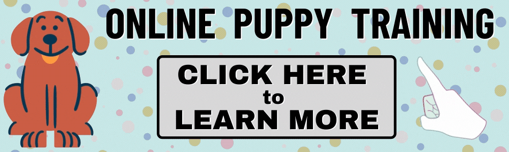 Online Puppy Training
